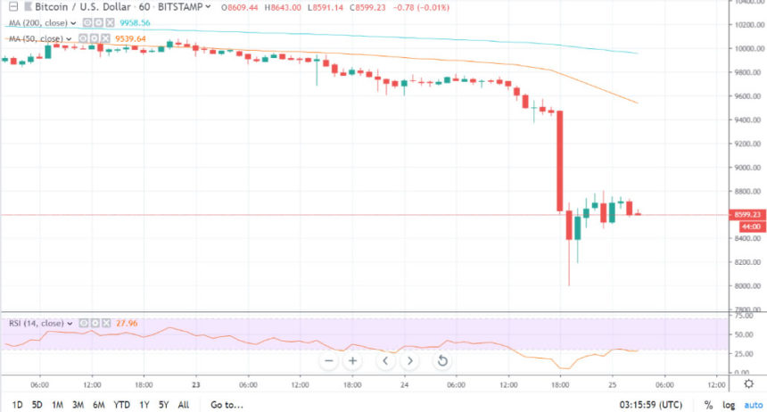 image1.png image1.png